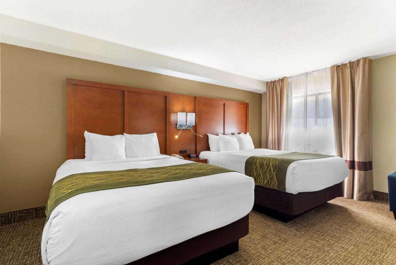 וורנר רובינס Comfort Inn & Suites - Near Robins Air Force Base Main Gate מראה חיצוני תמונה