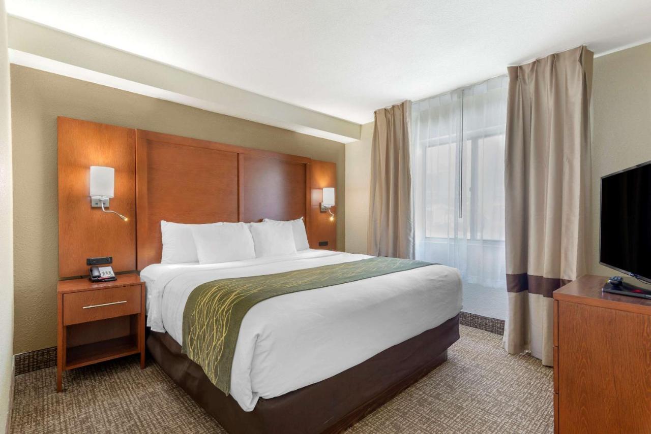 וורנר רובינס Comfort Inn & Suites - Near Robins Air Force Base Main Gate מראה חיצוני תמונה